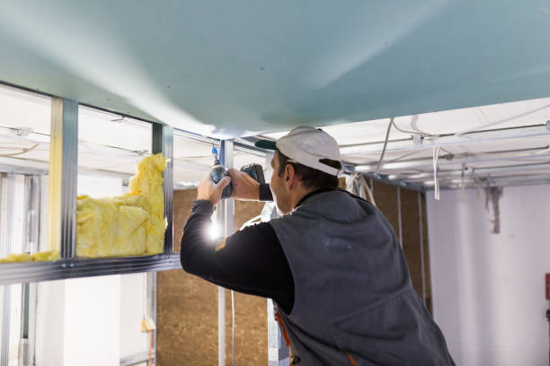 Best Residential Insulation in Olney, MD