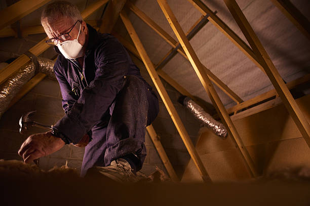 Best Specialized Insulation Services in Olney, MD